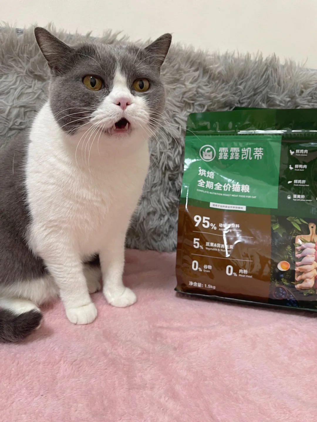 李大咪的幸福“食”光