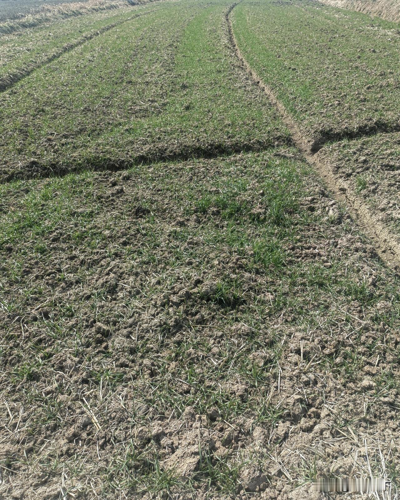 区县级农业主管部门领导及其职责
 
部门主要领导

一、 党组书记、局长
 
主