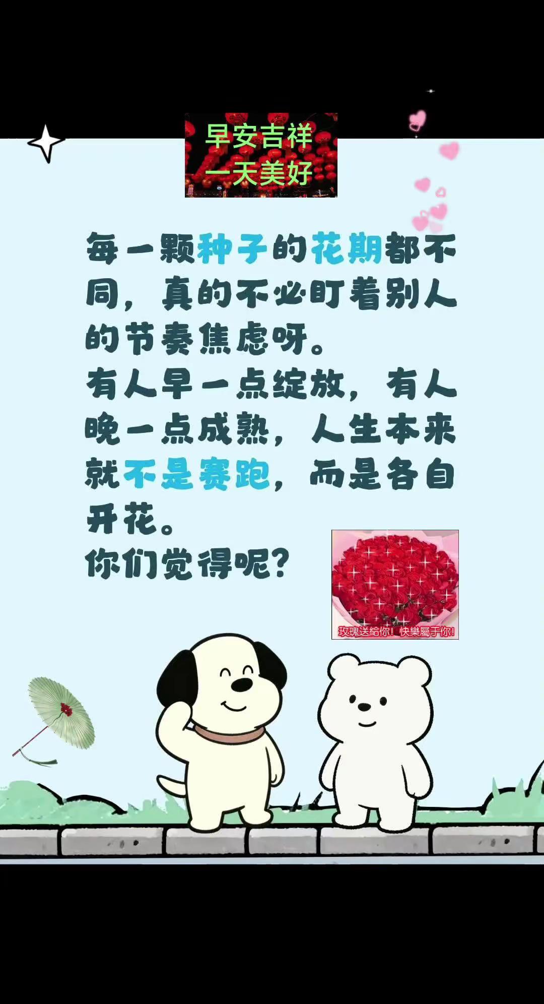 花期有约。每一颗种子的花期都不同，真的不必盯着别人的节奏焦虑呀。有人早一点绽放，