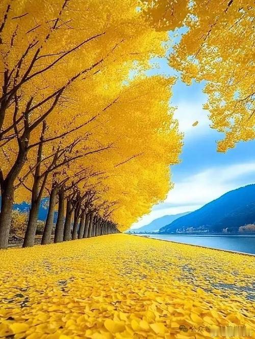 宋词（诗）景物描写佳句230例（一）

截止昨天，朱东润主编的《中国历代文学作品