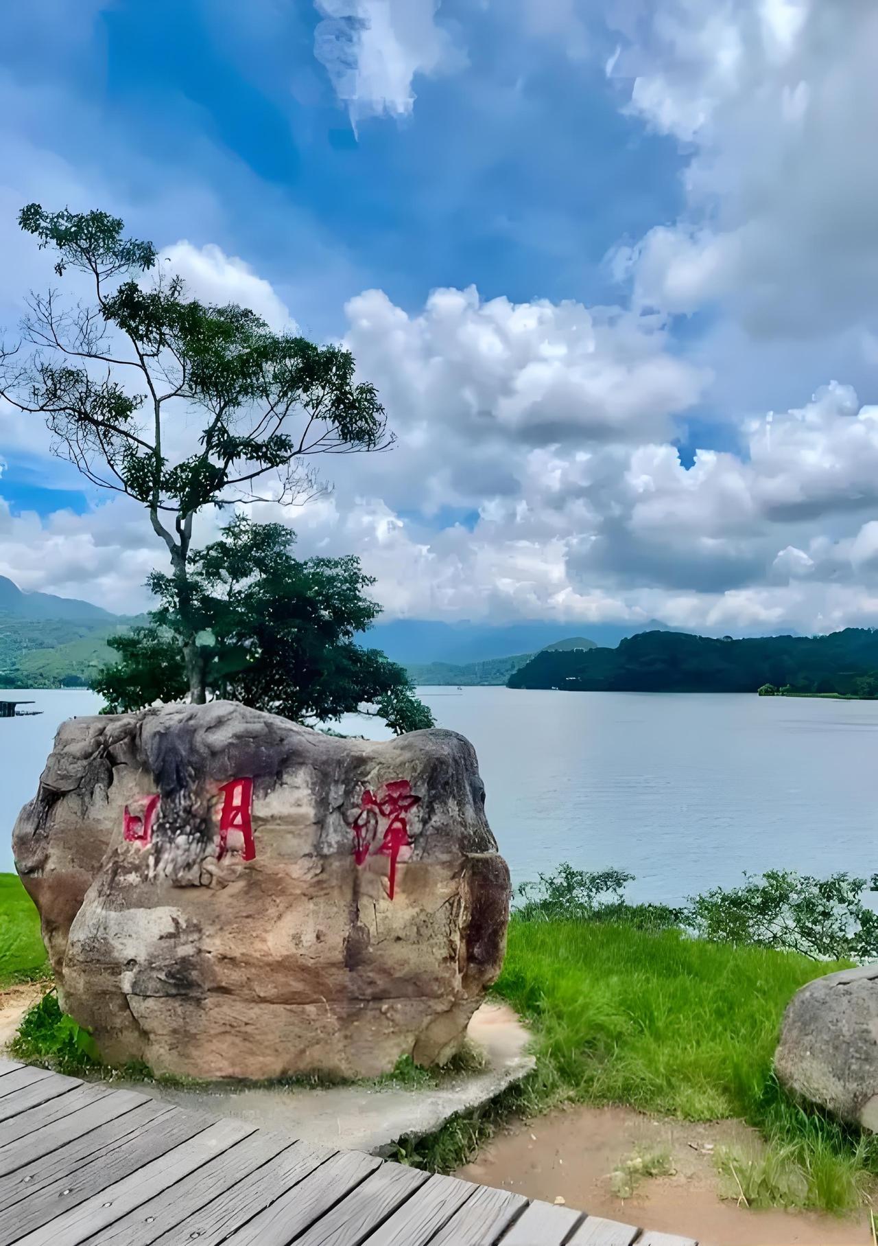 五一，台湾省感到了压力，没有游客，惨不忍睹。

据台旅游部门数据显示，5月1日至
