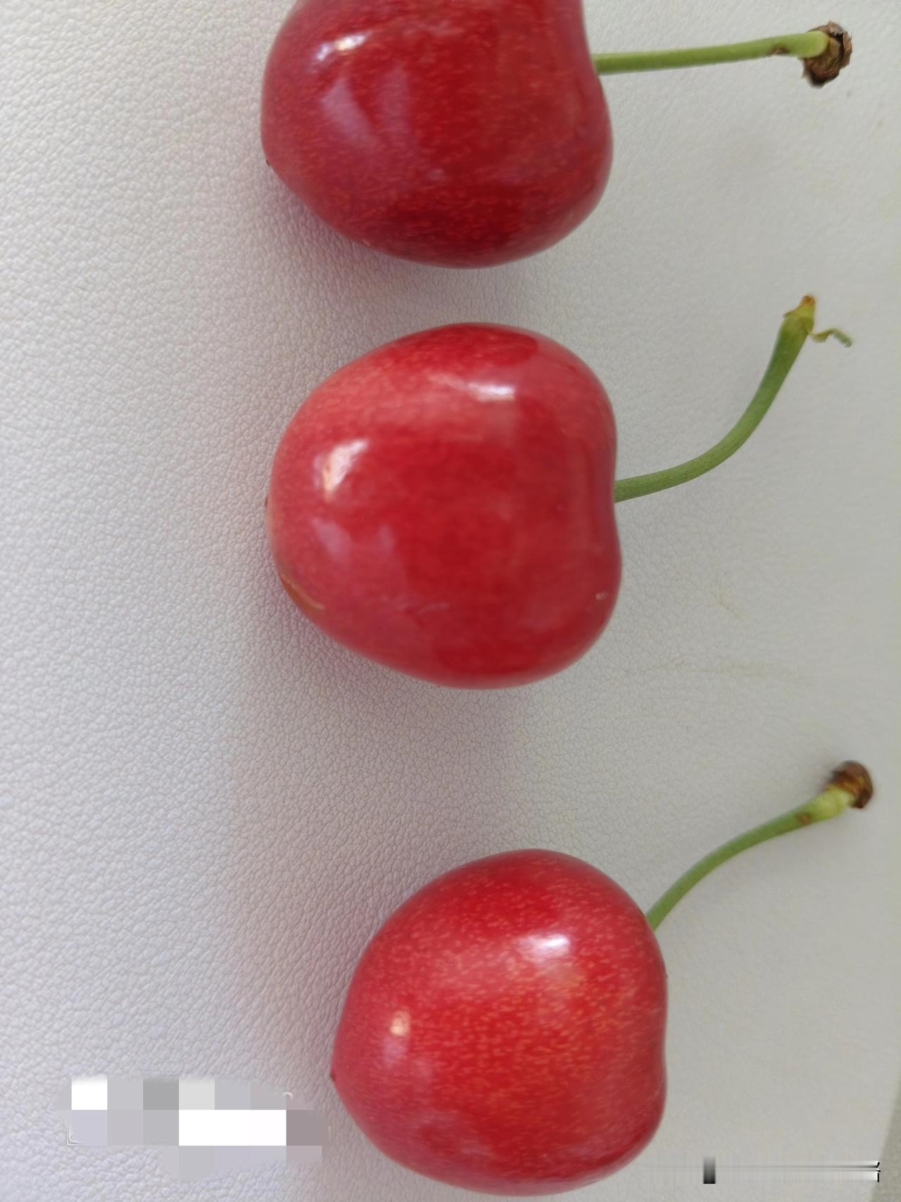 又被邀请参加训练营，但奖金也太少了。
看了3周训练营要求和奖励，第一周写5篇以上