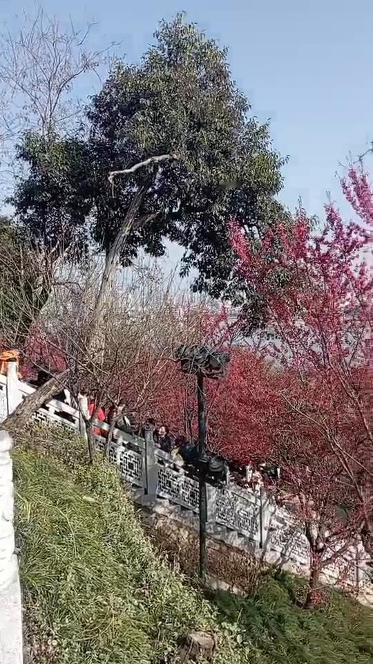 今天是大年初五，正月初五迎财神，五路财神进家门，恭请财神降富宅，一年四季发大财，