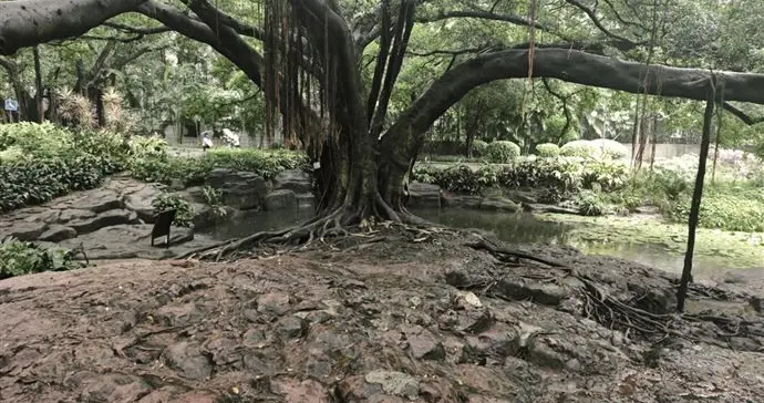 广州印发《关于在城市更新中加强历史文化保护的通知》，明确：文评前置，应调查潜在保护价值对象
