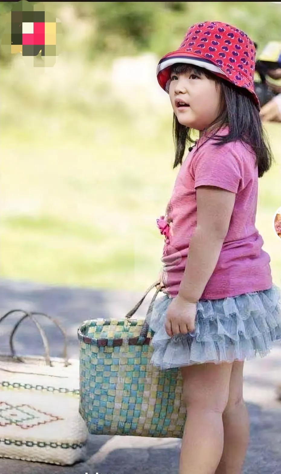 李湘的女儿王诗龄怎么感觉一下子这么大了，我还停留在：“爷爷你要好好的哦”那个阶段