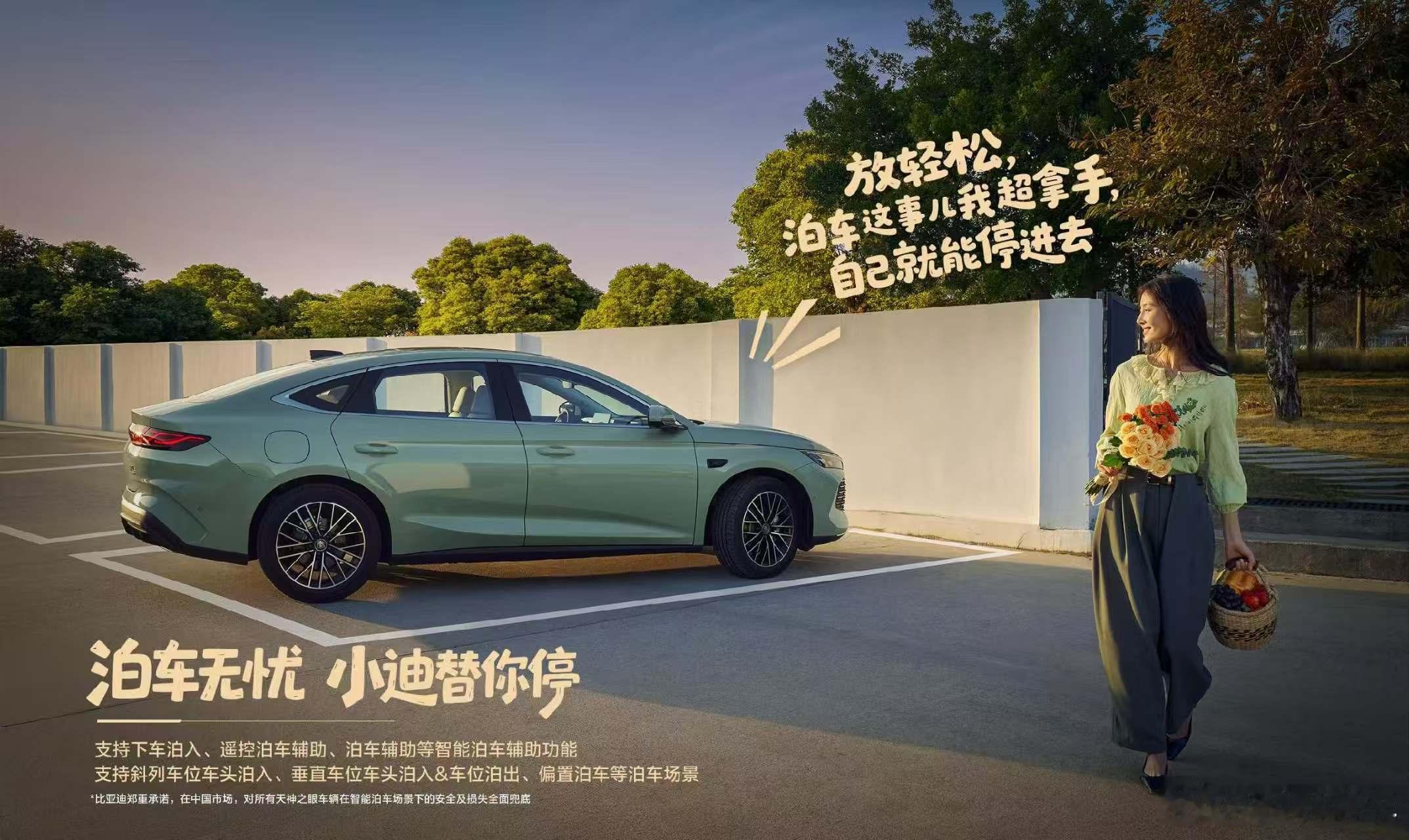 新年开新，好车配好鞍2026款秦LDM-i上新大电池210KM超级购置税后限时优