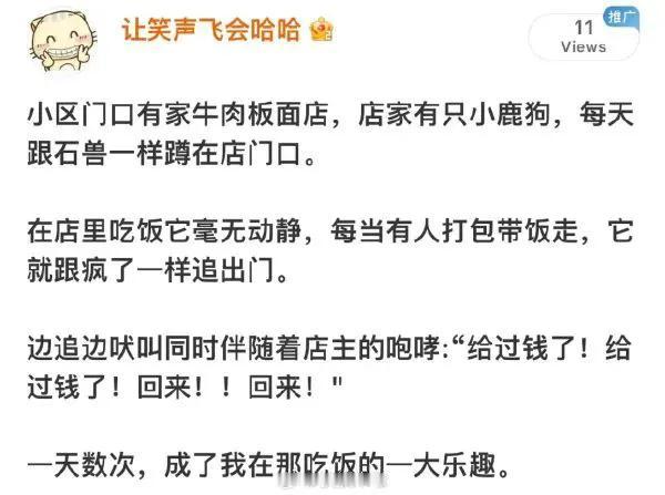 不懂就问：小鹿狗是什么狗？