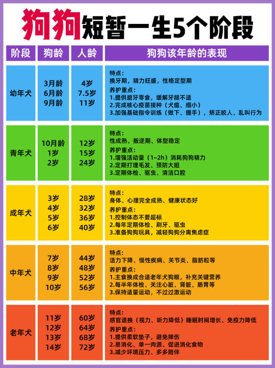 狗狗的一生其实很短暂！