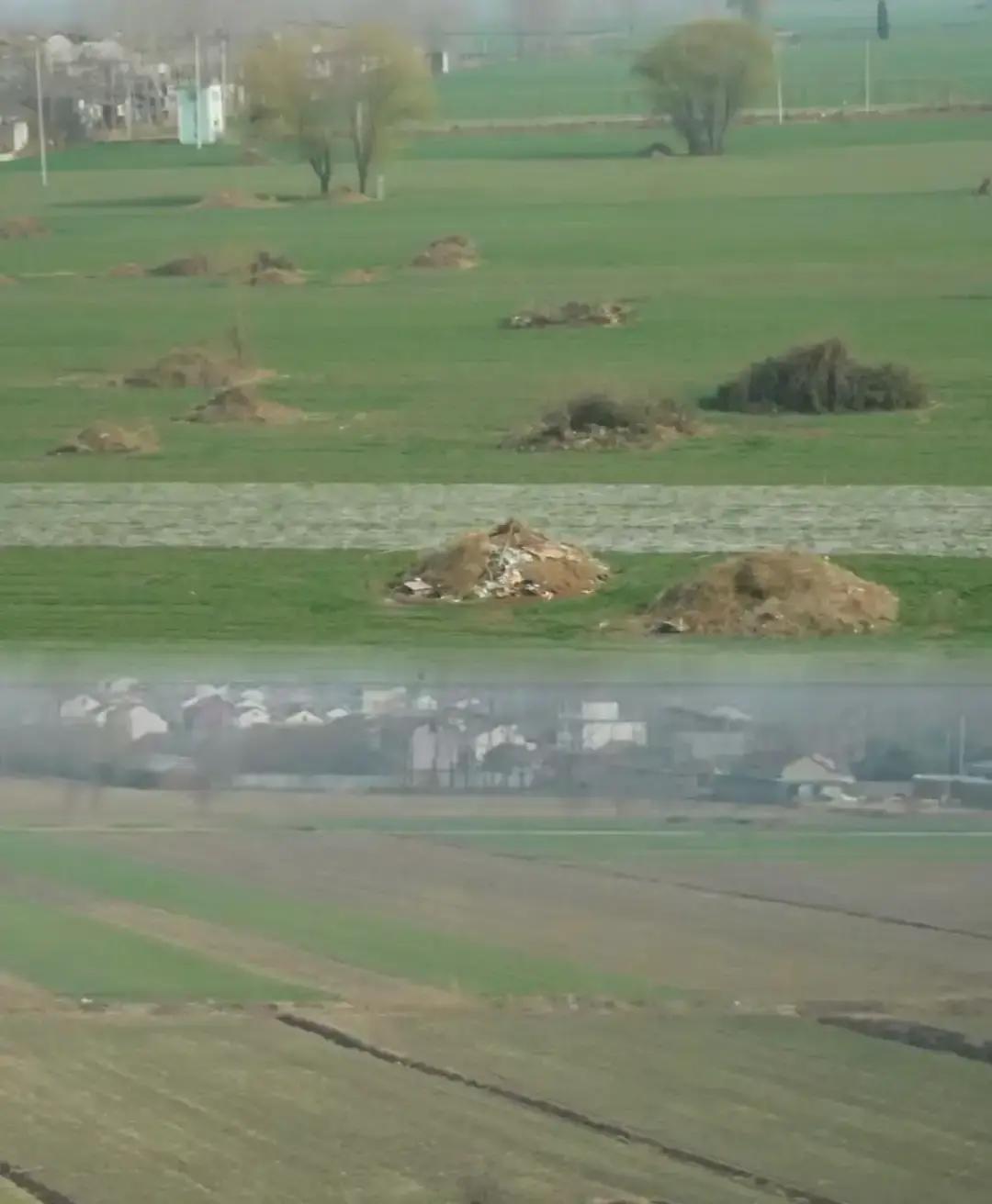 再过几百年，我们的后人想寻根，可能真的只能对着一堆资料发呆了
听说2026年3月