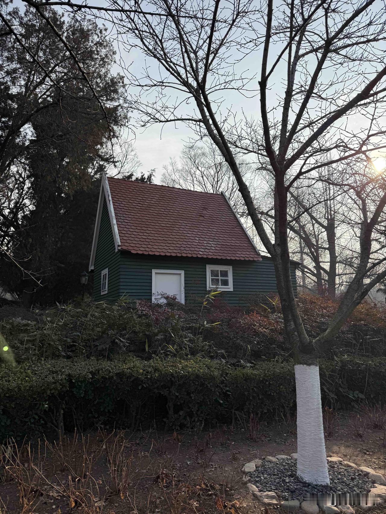 我昨日上午去青岛中山公园玩了，小西湖门口的小广场没有往日的热闹喧闹气氛了，只有几