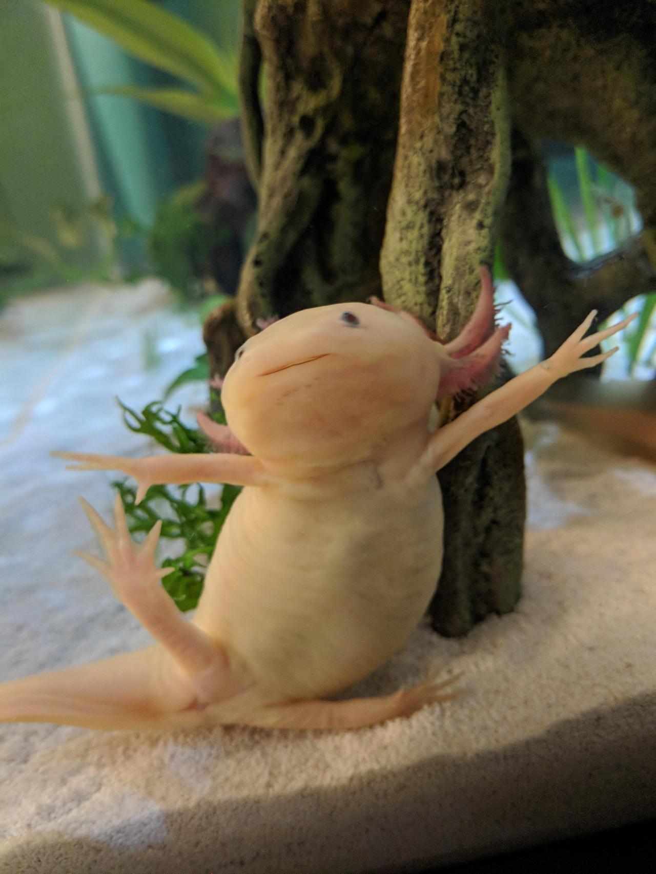 鱼缸的平静效果背后，是循环、种植和维护共同完成。