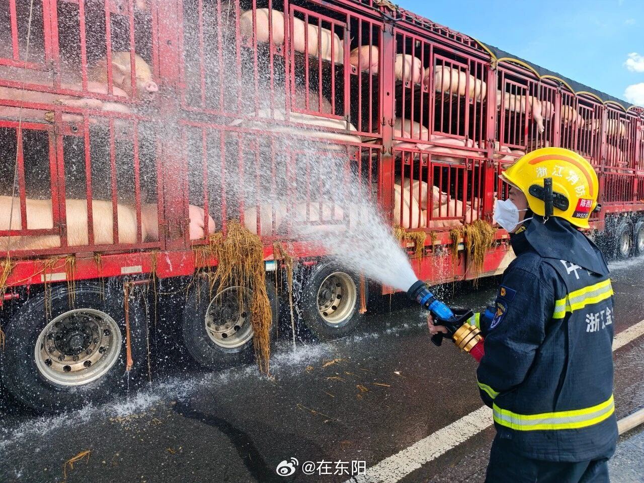 东阳身边事 高温天气持续，畜禽长途运输中暑风险大幅攀升。16日15时许，一辆满载