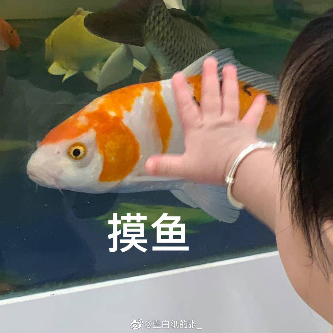 影视飓风的硅基摄影师 这下真的卷不动了，以前练半年才敢碰的希区柯克变焦，现在机器