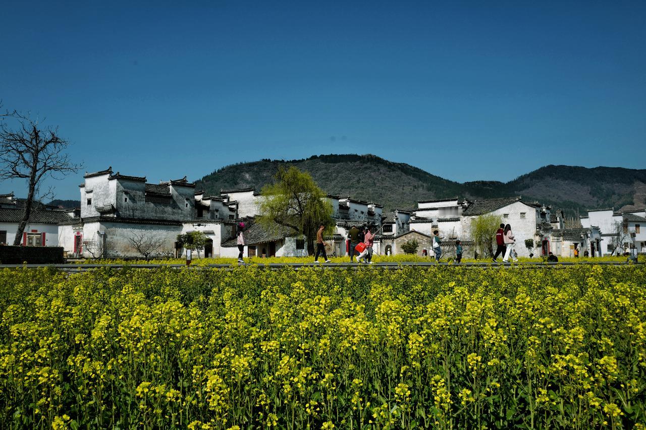 徽州黟县看花指南——
今日的关麓村外……
明后天开始要下雨了，会是另一番烟雨味道