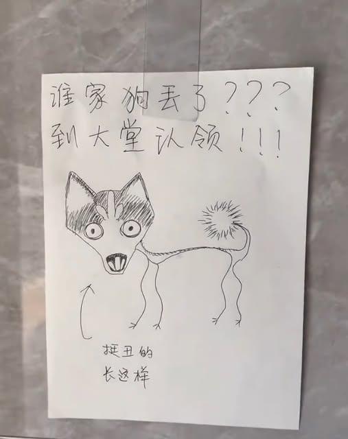 谁家狗子丢了？长得挺丑的，画得也挺抽象的，快来大堂认领你家“艺术品”！