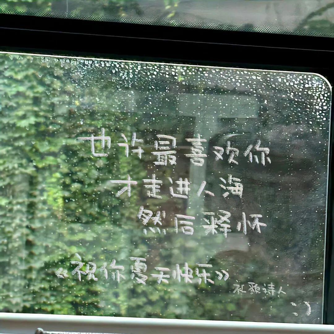 -𝐒𝐇𝐀𝐑𝐄｜𝔀𝓮𝓬𝓱𝓪𝓽 头像背景图搭配 ⸝⸝🍀꙳🍸