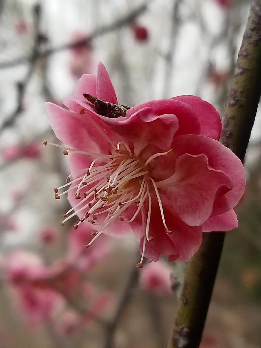 美伊这场非正义战争，竟能对伊朗领袖及其家人实施斩首行动。像这样的恶人，很难受到应