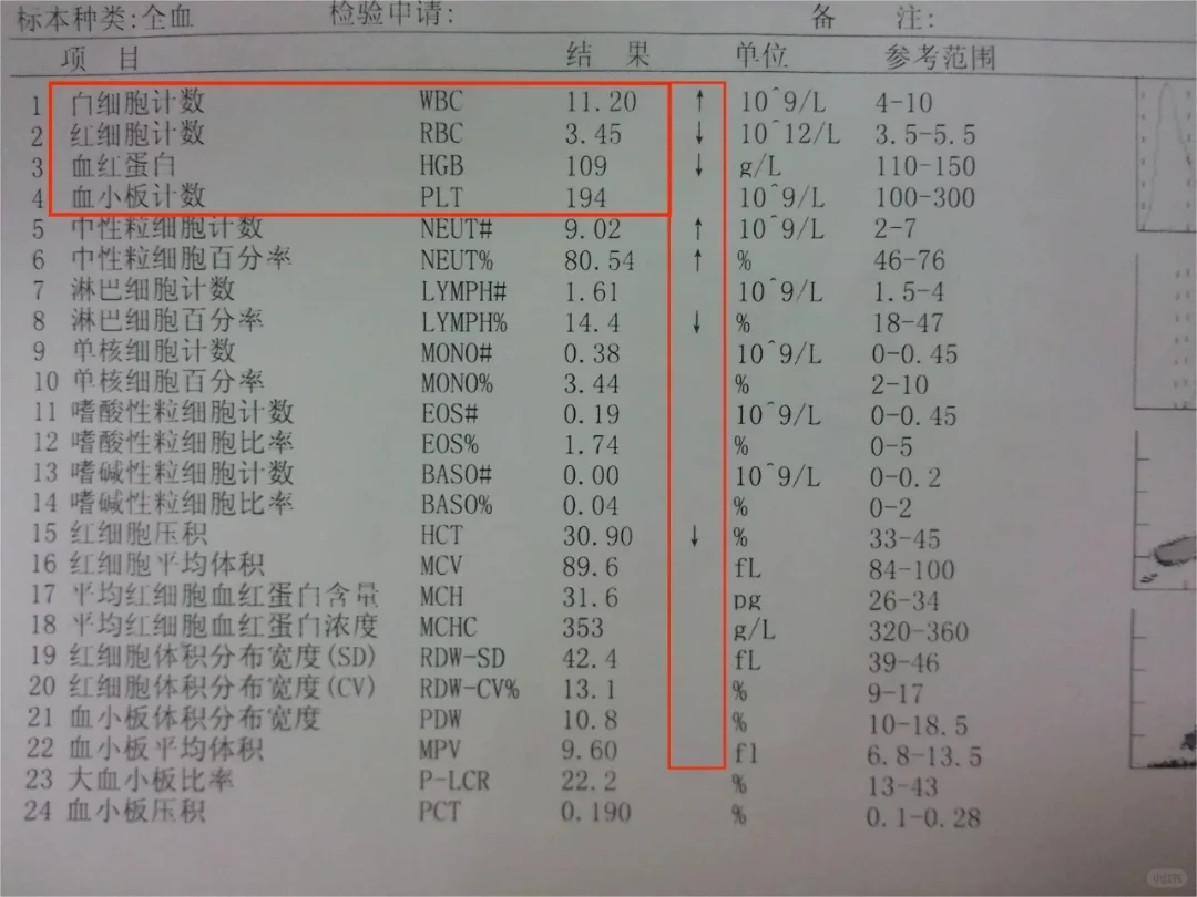 拿到血常规后一定要重点看这几项！