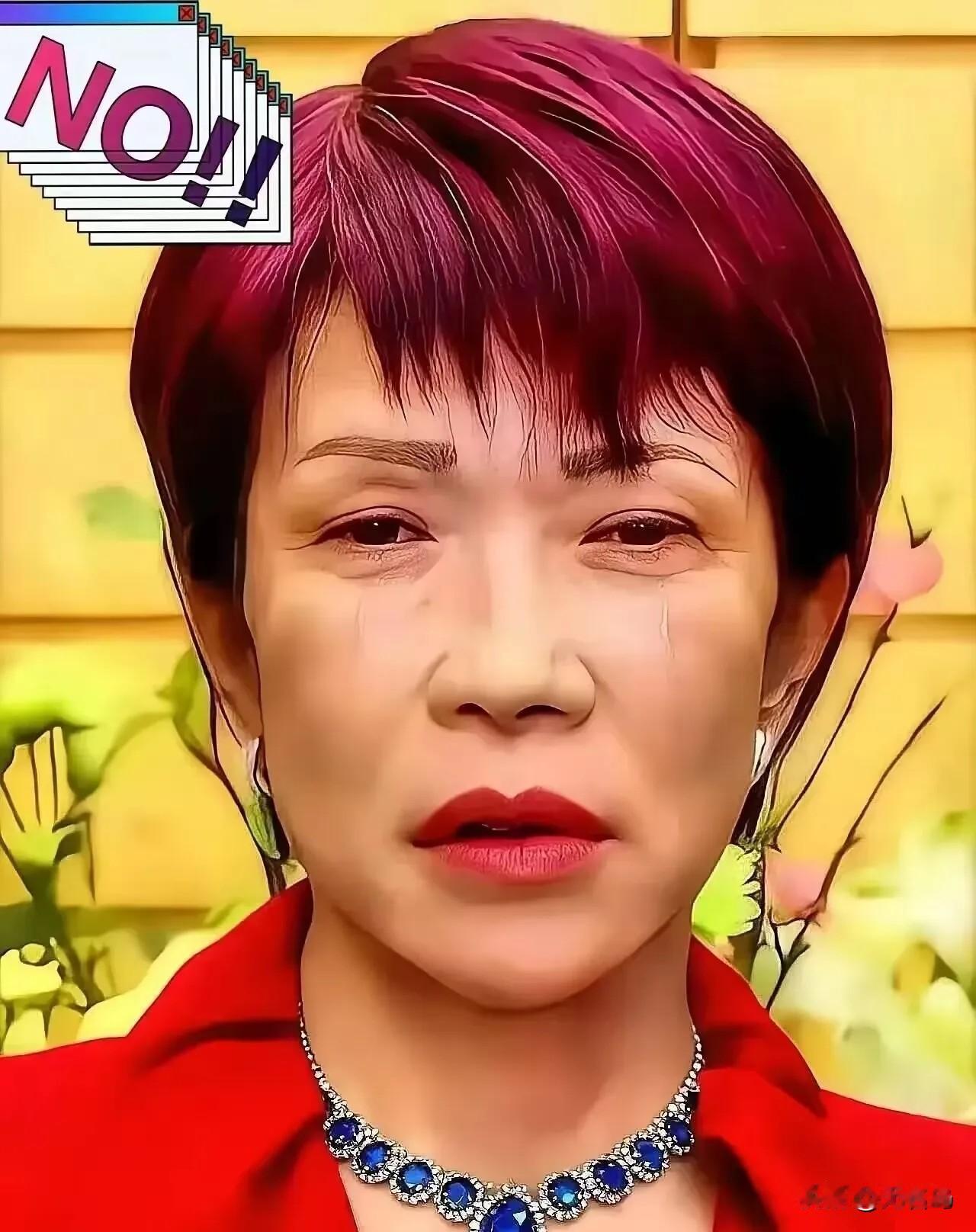 新消息
日本宣布消息
2026年4月20日，日本气象厅宣布将岩手县沿海等区域的“