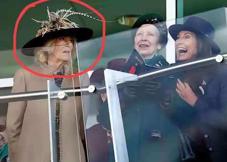 有卡罗尔在，卡米拉也多了一份烦恼？
为何？凯特妈妈的实力，那还真不能小觑，能让凯