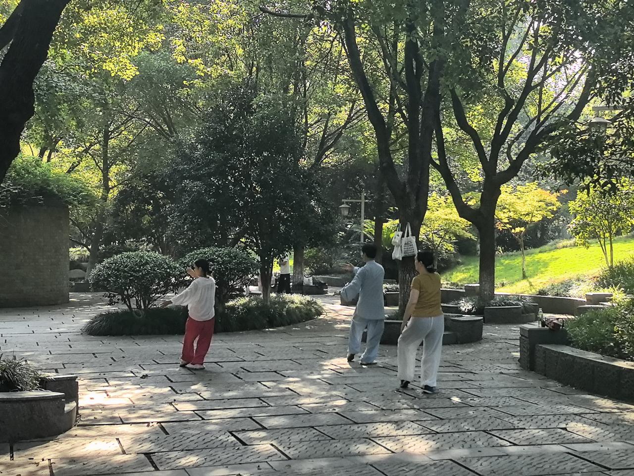 朝阳透过树荫，照在公园小广场已铺开几抹太极蓝上。领拳的大爷身着对襟衫，抬手如挽流