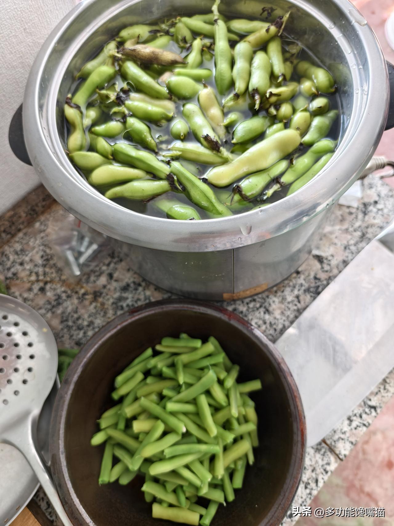 夏日生活打卡季 山西偏关猫姐又来菜园子采摘啦！种的多，吃的少，最主要的是享受种菜