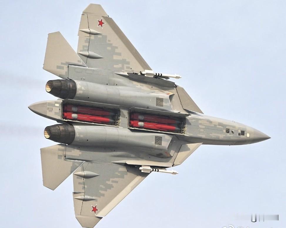 因为在这次迪拜航展上苏57并没有打开所有的内置弹仓，有好事军迷就“帮忙”P上了苏