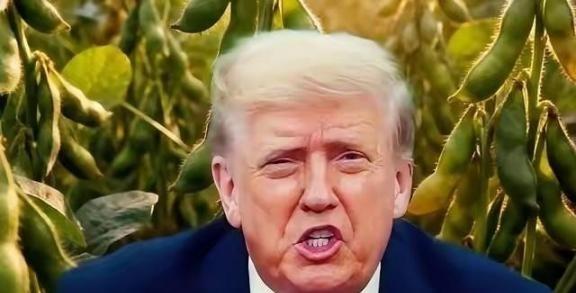特朗普曾说，你们中国把大豆玩成花：做豆腐，豆腐脑，豆浆，豆皮，豆油，豆奶，豆腐乳