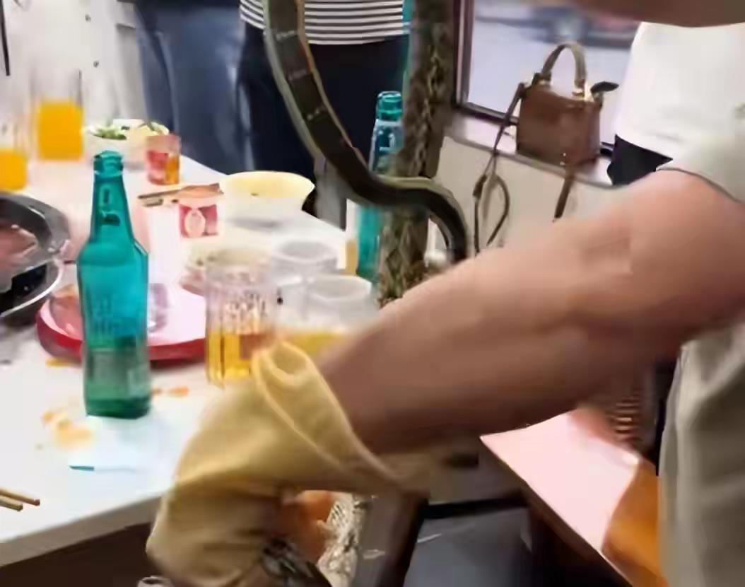 火锅正香，1.5 米大蛇突然“加餐”！食客尖叫跳上板凳，老板回应让人意外！

想