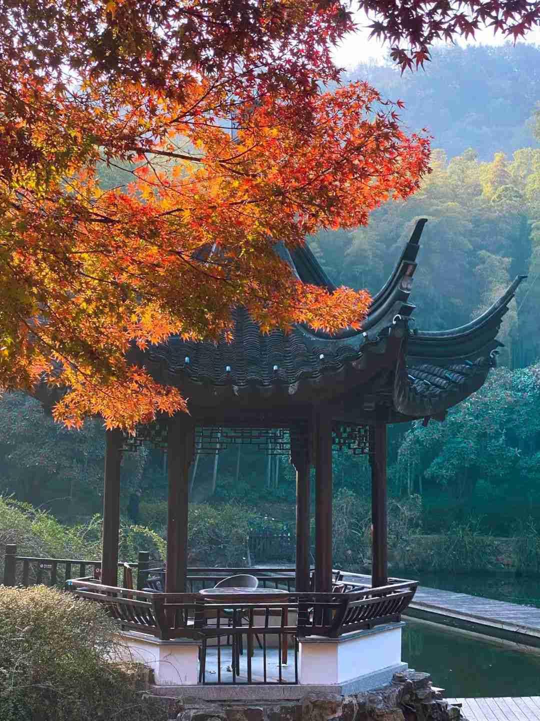 我的今日状态：🏝️旅行度假
我这里的天气：☀️晴天