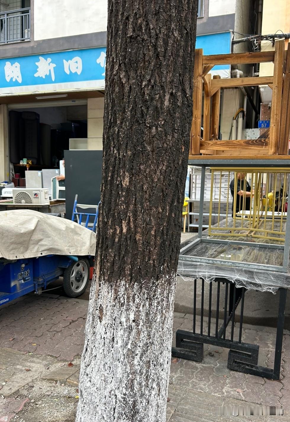 为什么到旧货市场看会发现老板似乎很清闲，你的心里不禁疑问：他们干这个能挣到吗？