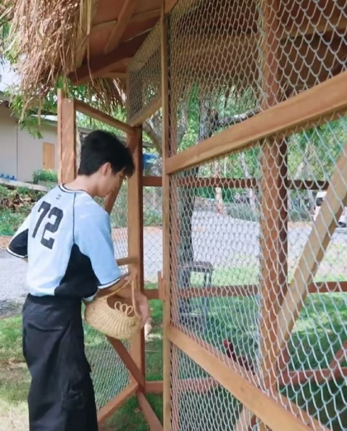 王俊凯没有靳梦佳王俊凯粉丝永远不会知道全网排队跟王俊凯认错啦！中餐厅小鸡遭霸凌，