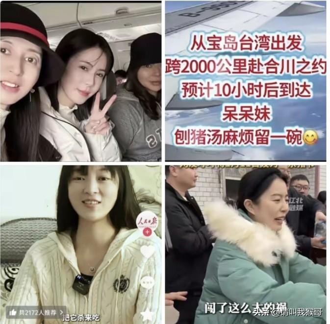 从台湾妹子这一行10人出发合川的那一刻起，呆呆就已经不是一个单纯的网红，国台办一