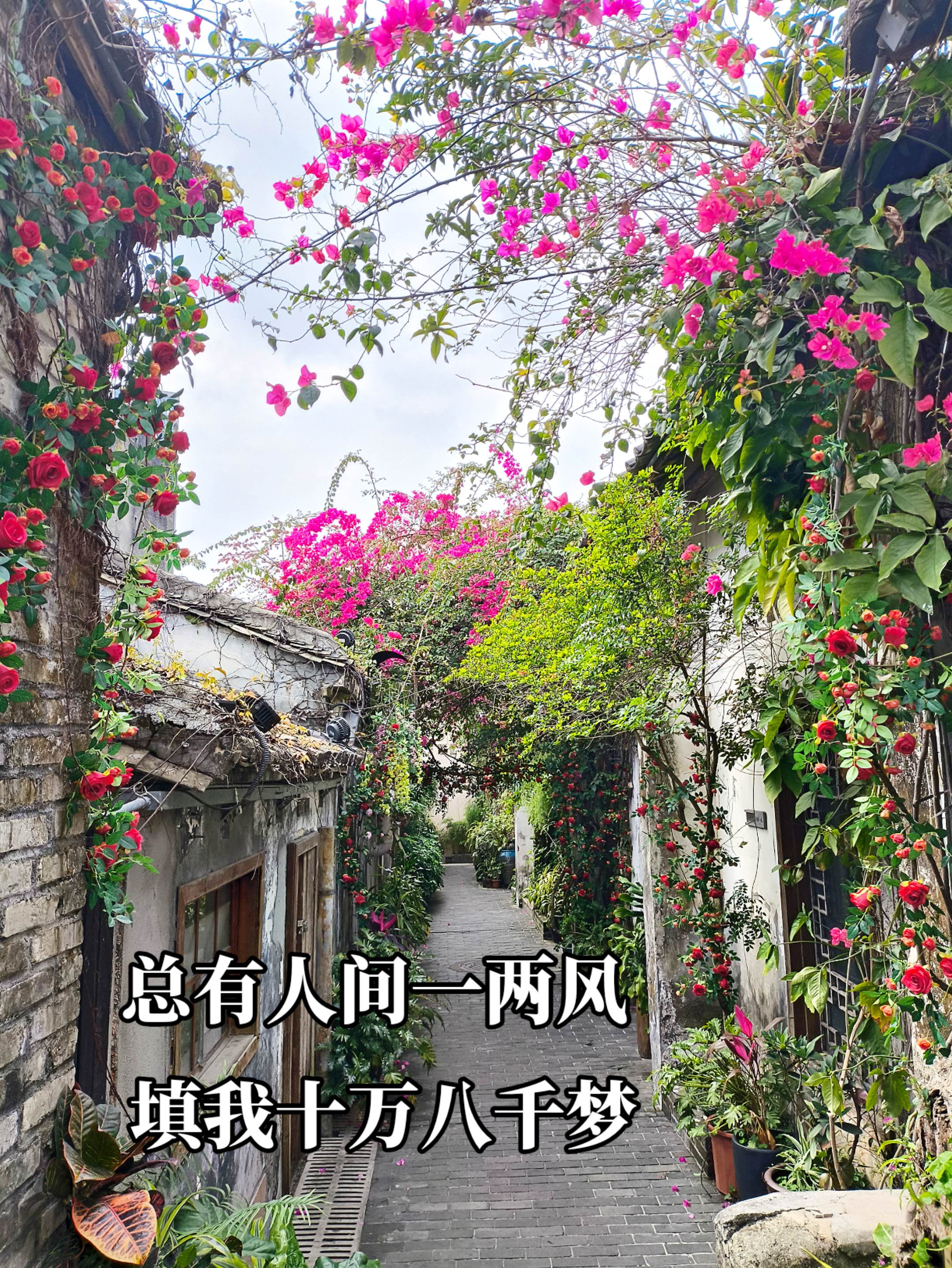 总有人间一两风 填我十万八千梦