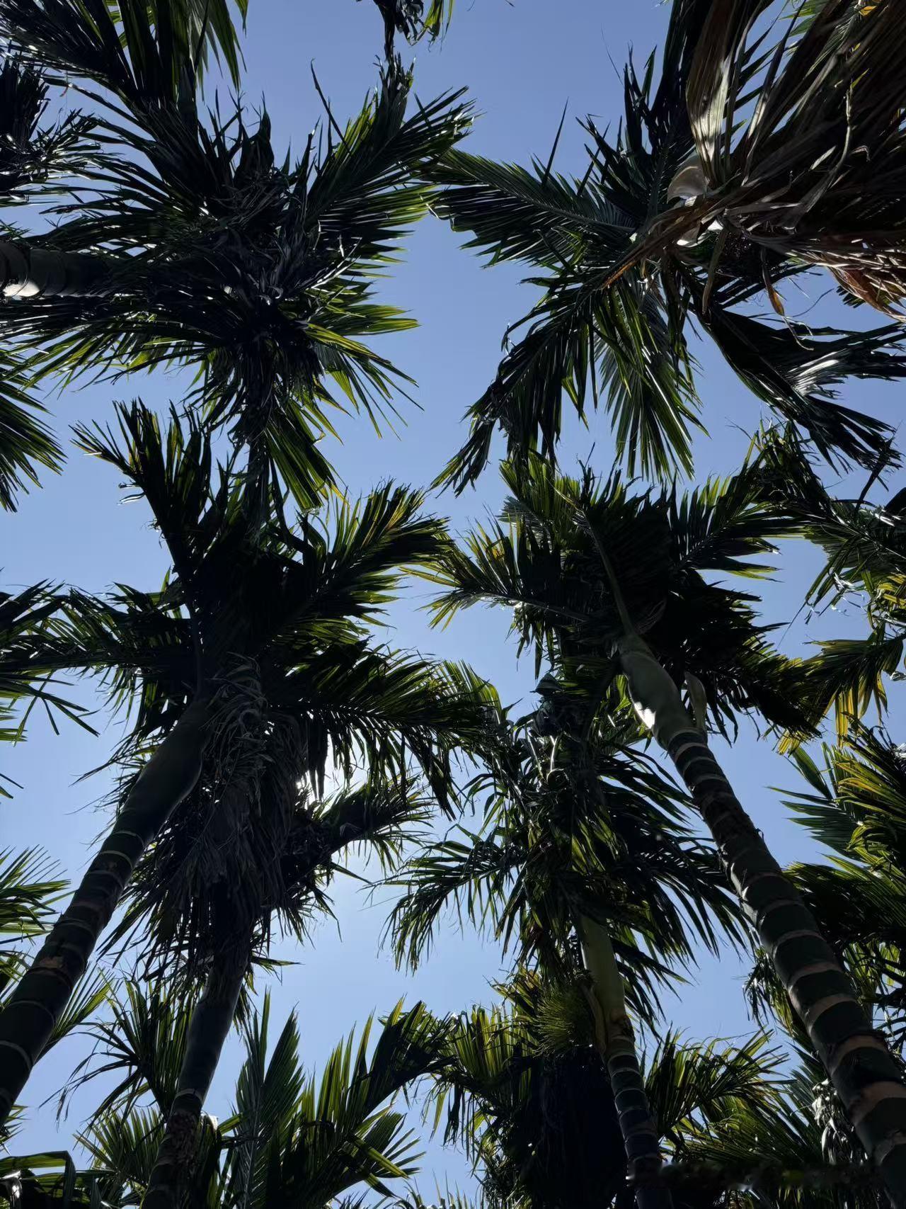 今天刷到一句话，瞬间戳中了我：
“很多人穷极一生积蓄买了房买了车，却依旧觉得人生