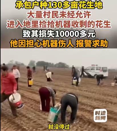 “太气人！” 河南巩义男子承包 130 多亩地种花生，花生还没来得及收割完毕，一