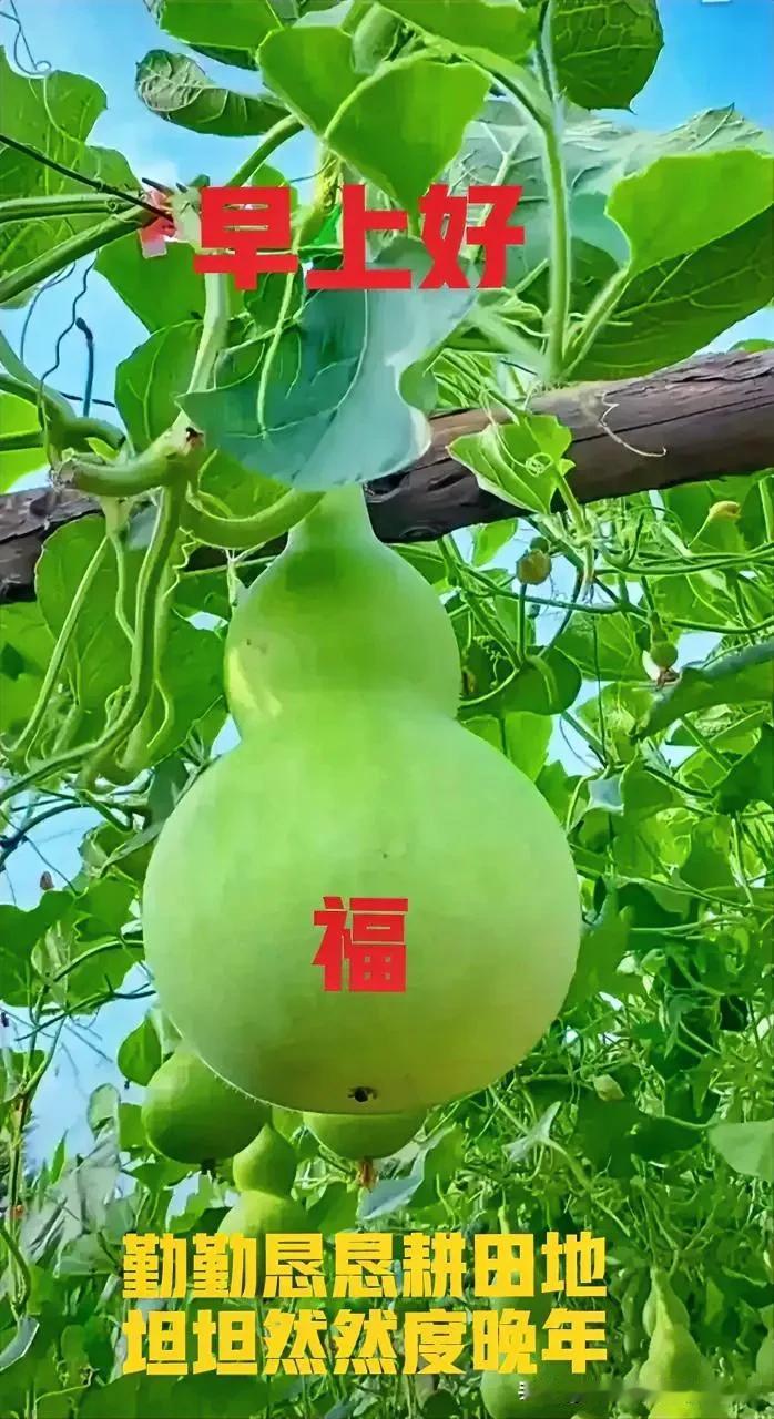 #对联佳作分享#

联1：🍎🍎🍎
勤勤恳恳耕田地
健健康康度夕阳

联2：