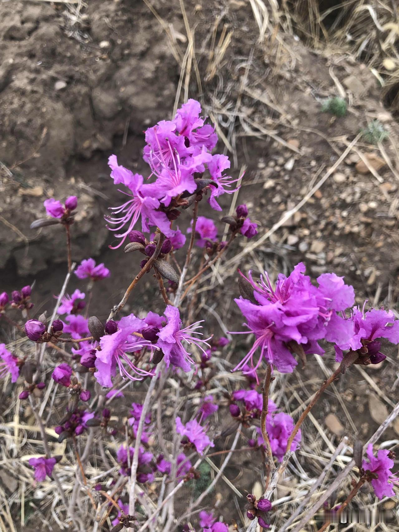 养老金上调！每月多20块，够不够用老人心里最清楚

全国养老金涨了！每月多20块