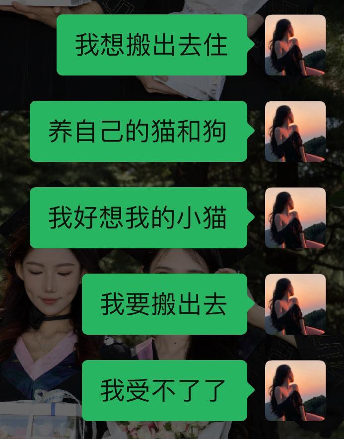 分享图片 