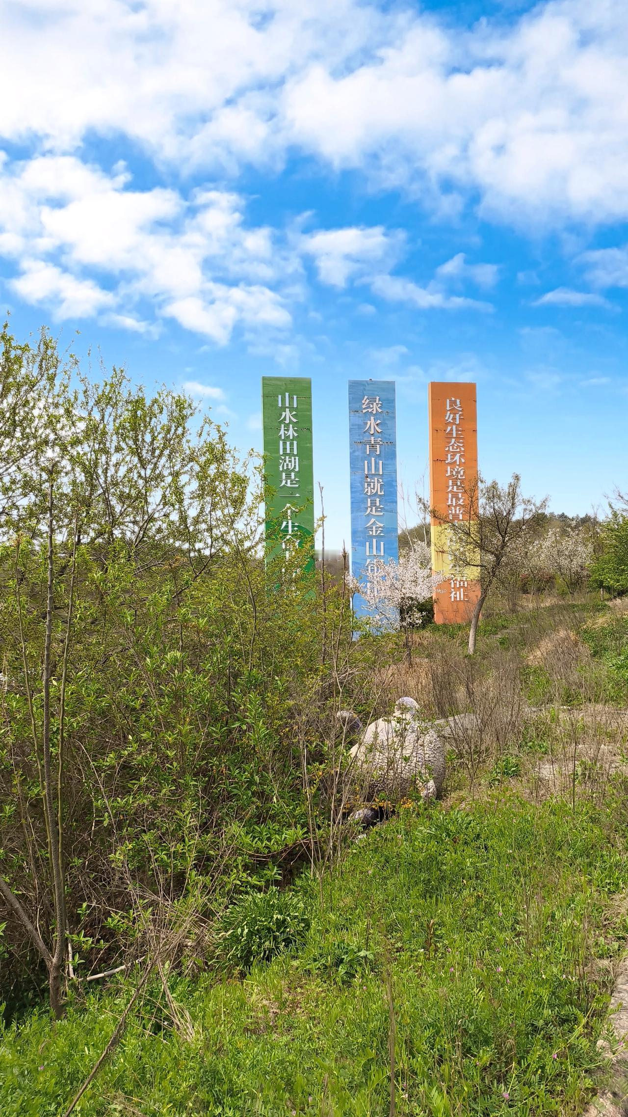春天许愿，大家各有各的盼头。有人想脱单，看着朋友圈甜蜜文案，自己也心动；有人盼升