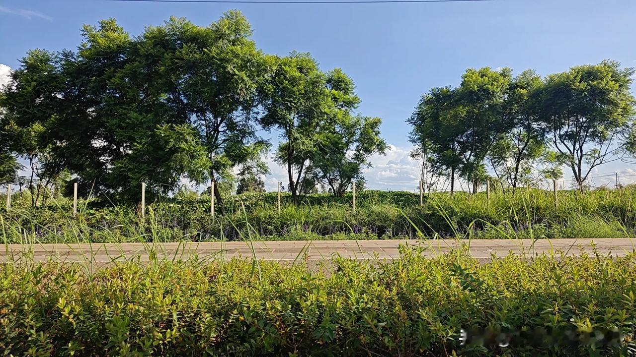 
今年双十一的时候专门去淘宝看了下机制活动，是满300-50，很诧异，因为我记得