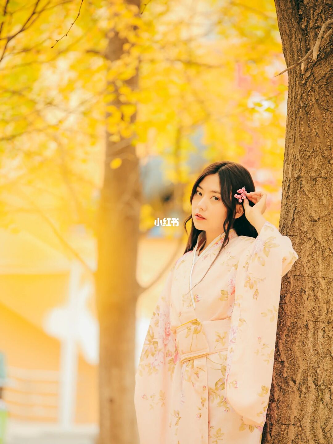 接下来10月韶关的秋天是这样的！太美了‼️
