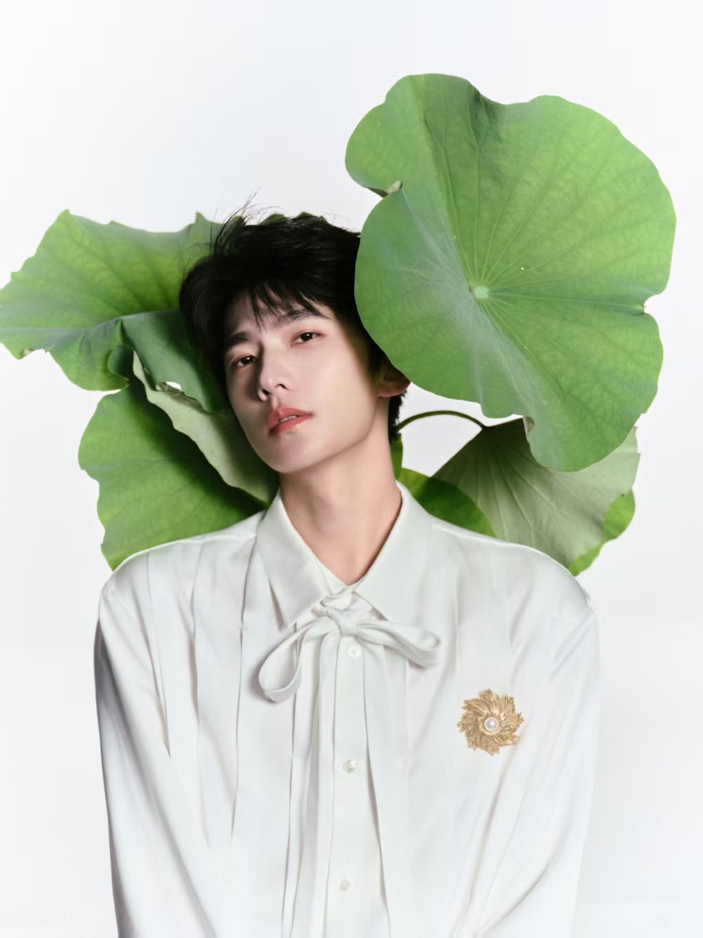 杨洋一叶入夏大片杨洋荷叶碎花大片 好清新的一组！ 杨洋[超话] ​​​