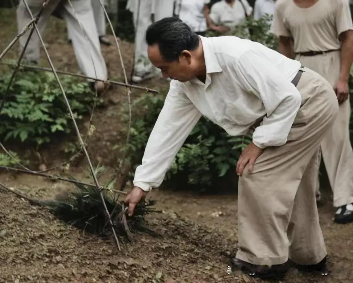 主席给母亲上坟～