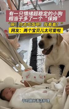 “人怎么能这么聪明！”9月11日吉林一女子因想吃饭，就让自家养的狗狗，帮忙照看躺