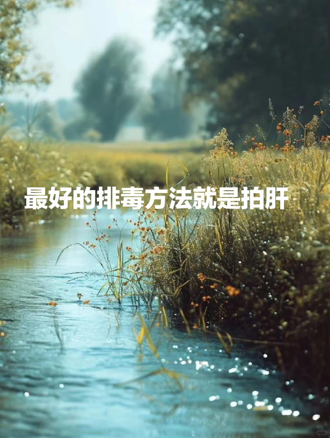 丁师：最好的排毒方法就是拍肝