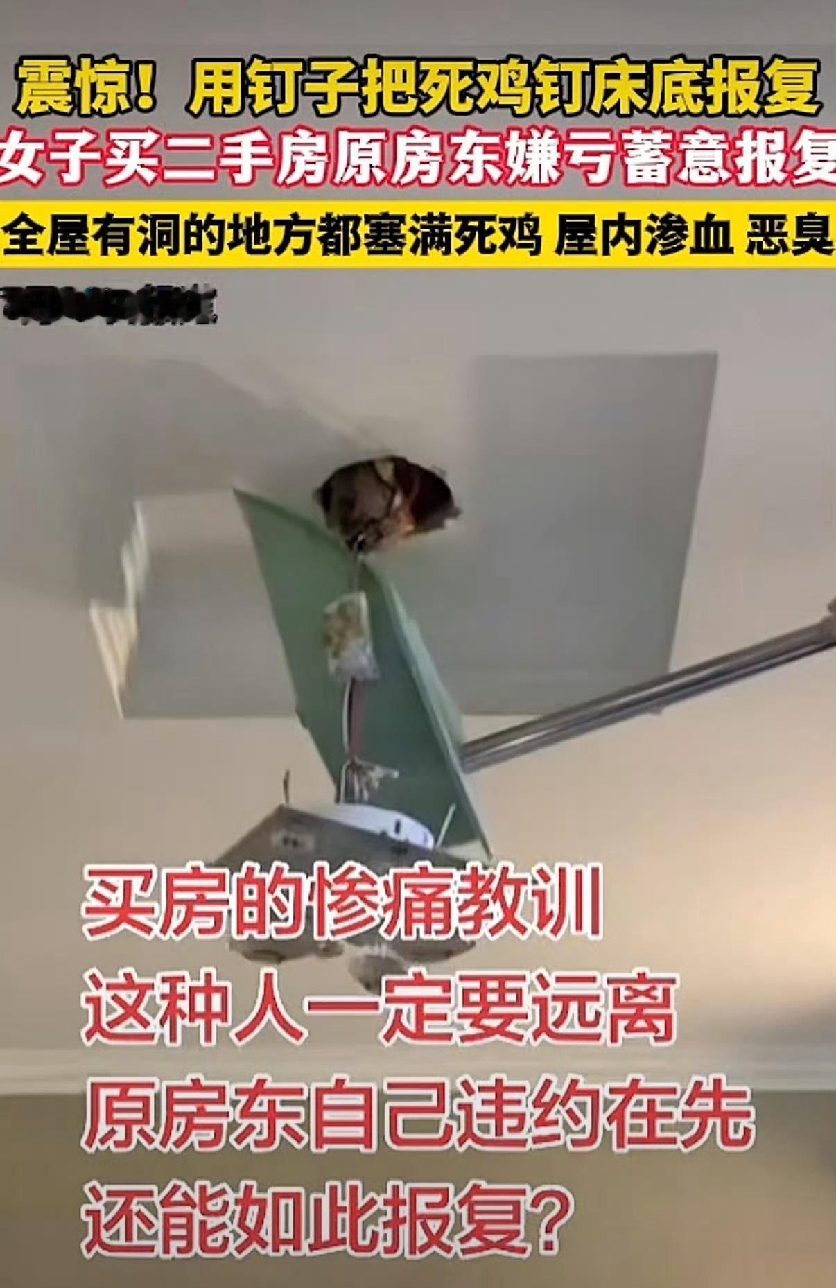 世界之大无奇不有呀 如果遇到这种事情一定要及时维权保护自己的权益 ​​​