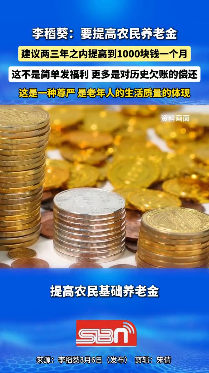李稻葵：要提高农民养老金，建议两三年之内提高到1000块钱一个月。
实践研究院院