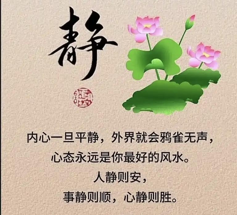 今日人生感悟：
“简单生活，专注当下，才能找到内心的真正平静。”
过着简单、朴素
