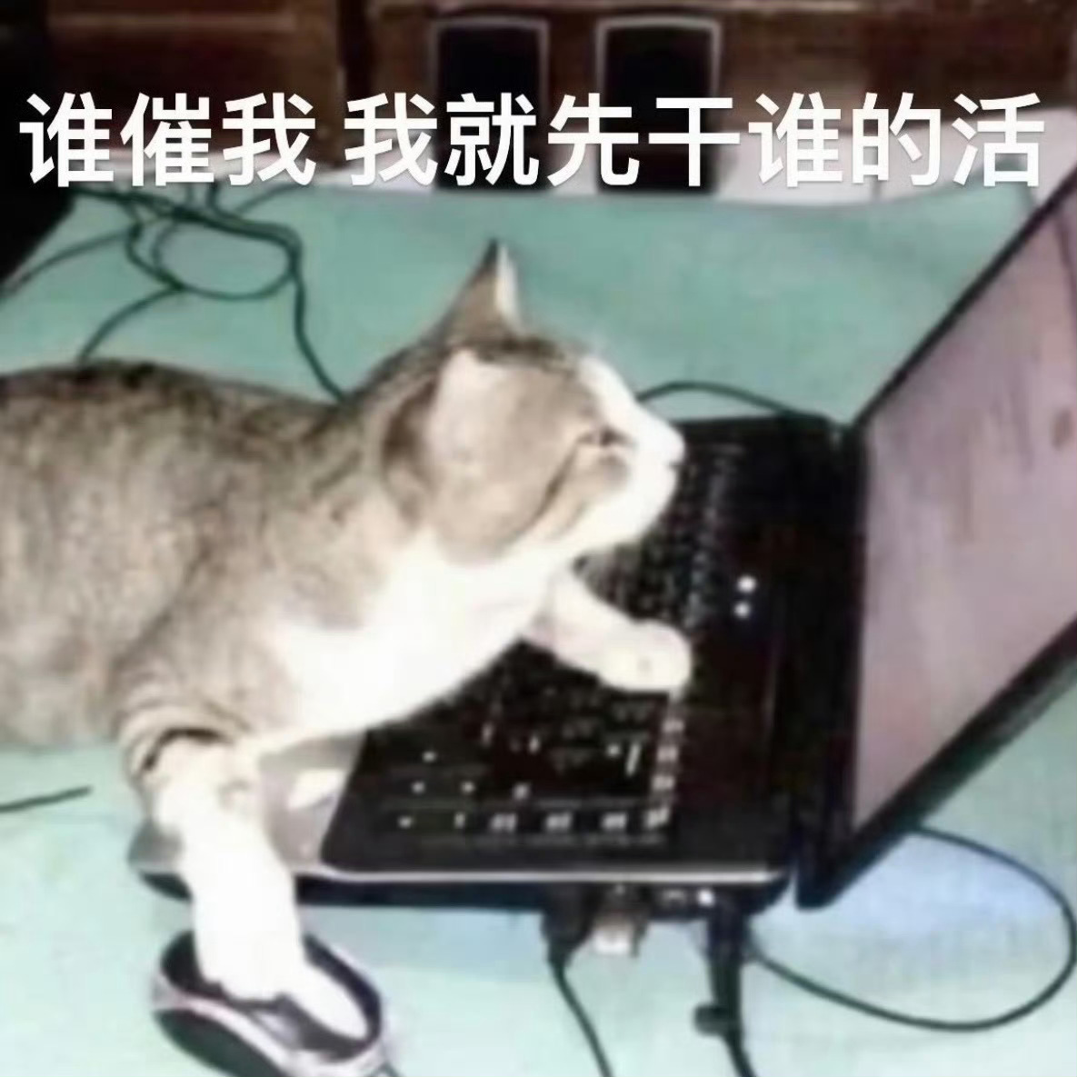 尝试入睡，准时爬起来看比赛
